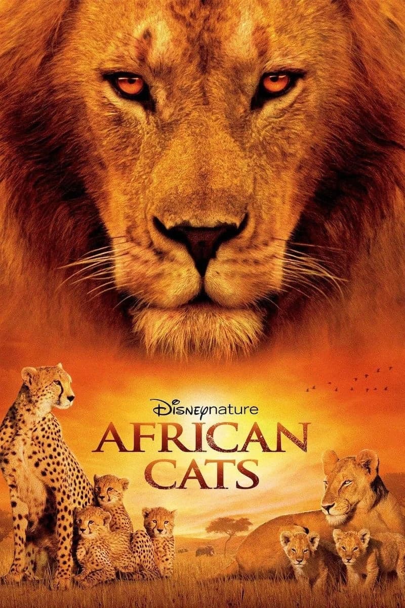 Xem phim African Cats - African Cats