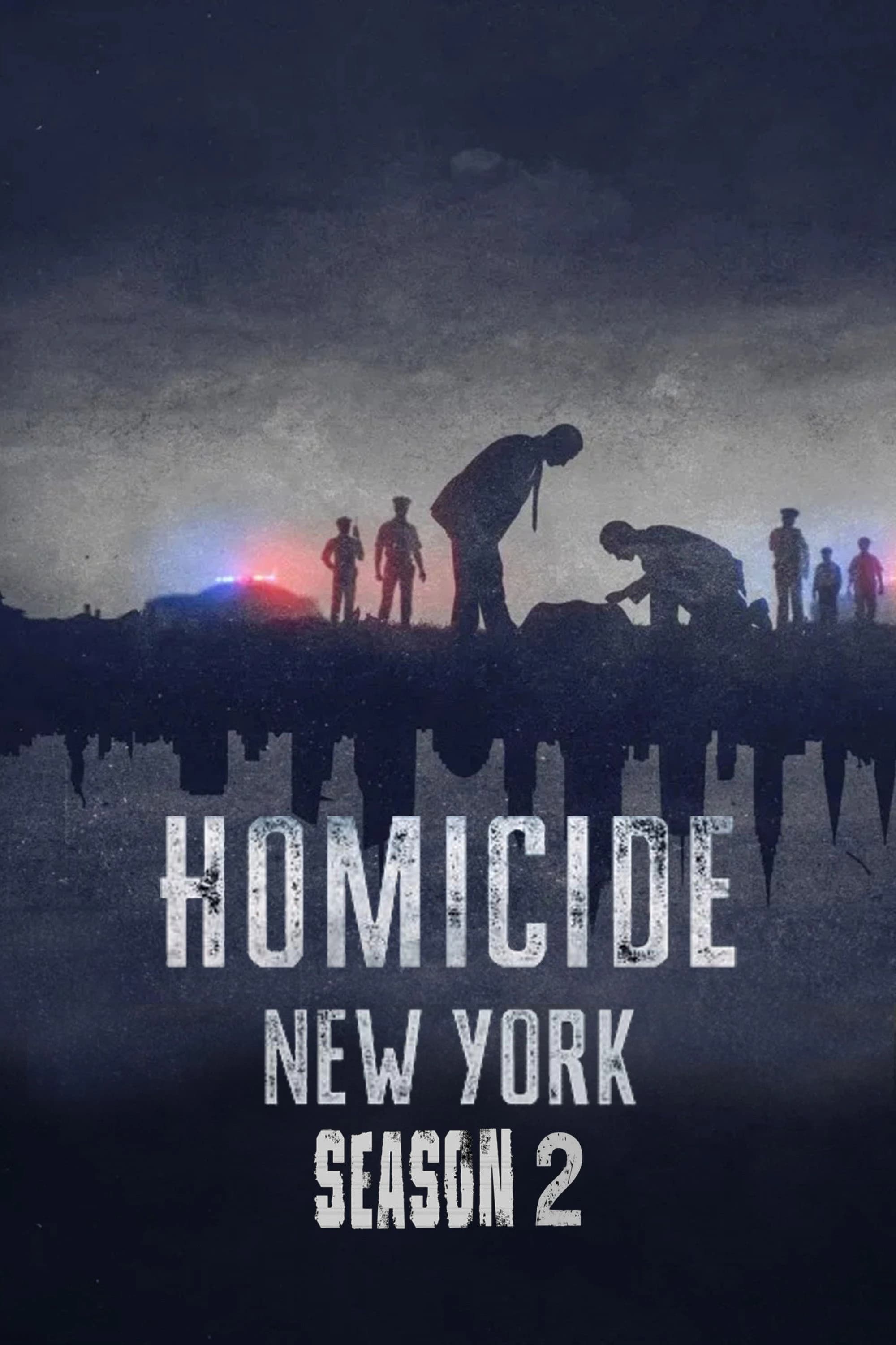 Xem phim Án Mạng: New York (Phần 2) - Homicide: New York (Season 2)