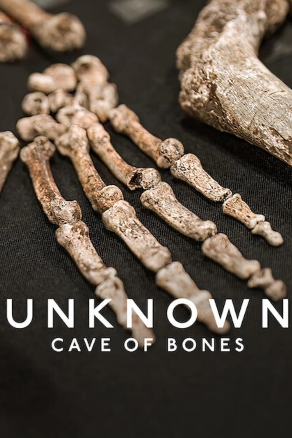 Xem phim Ẩn Số Trái Đất: Hang Hài Cốt - Unknown: Cave of Bones