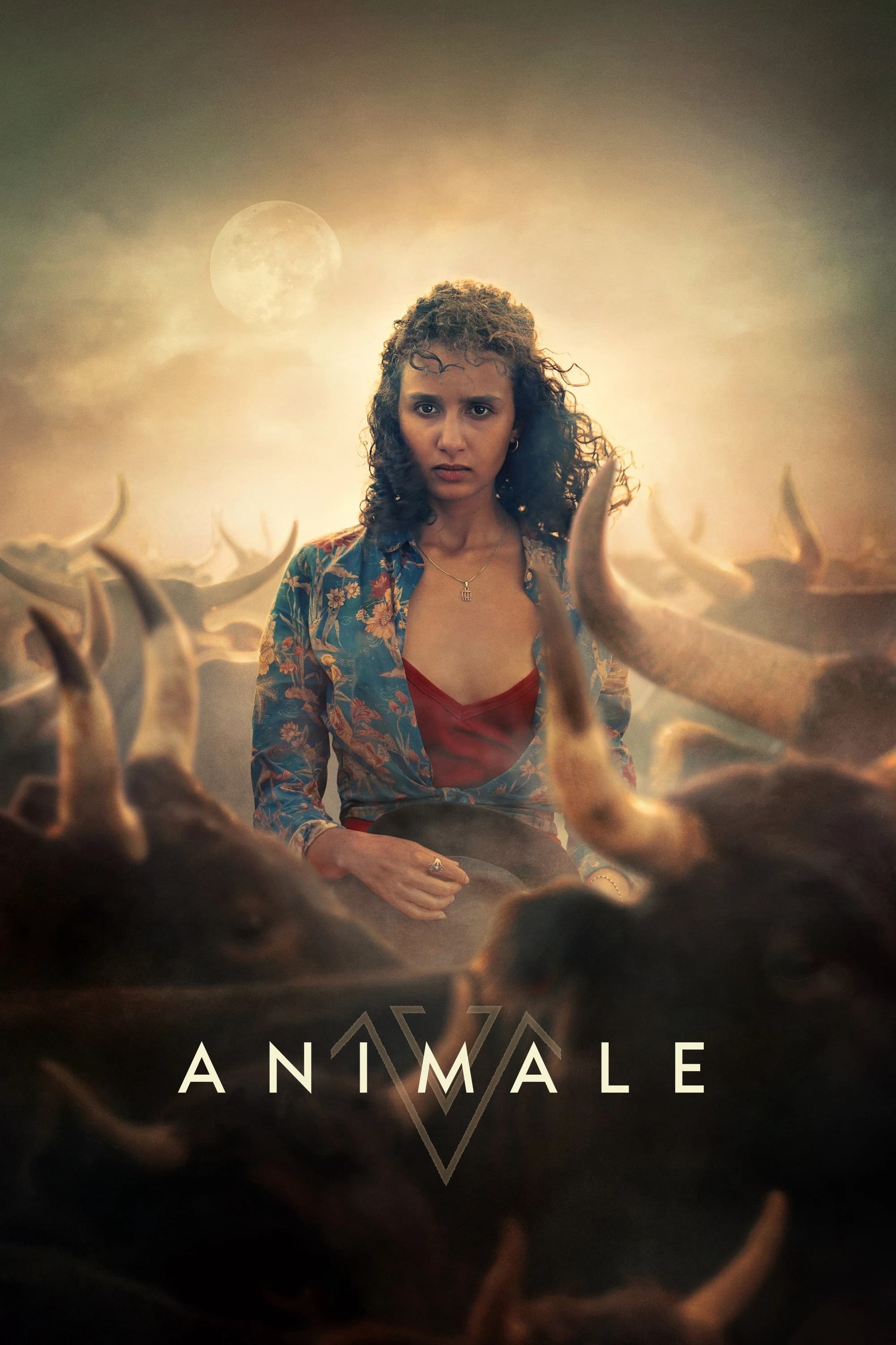 Xem phim Animale - Animale