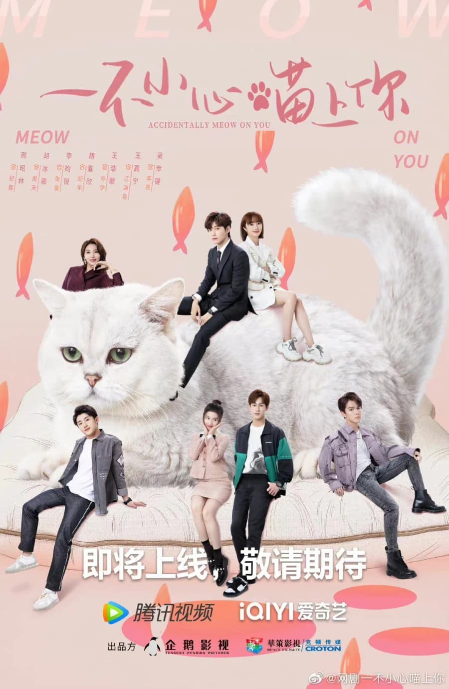 Xem phim Bất Cẩn Meow Phải Anh - Accidentally Meow On You
