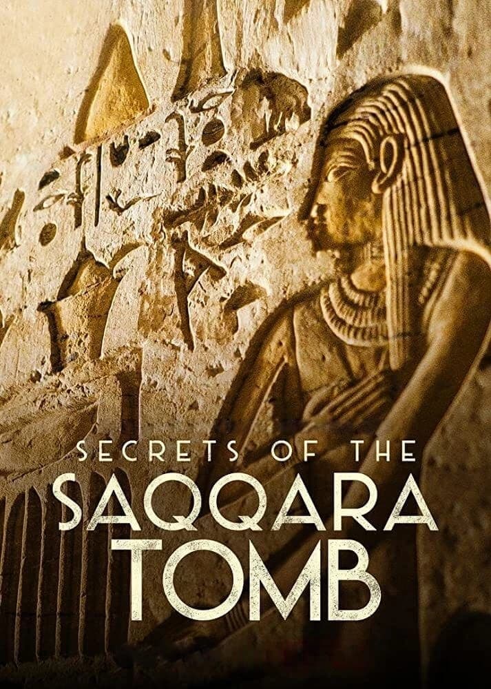 Xem phim Bí Mật Các Lăng Mộ Saqqara - Secrets of the Saqqara Tomb