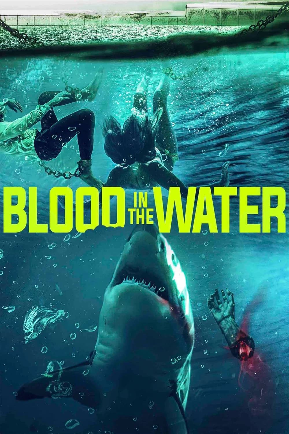 Xem phim Cá Mập Dưới Nước - Blood in the Water