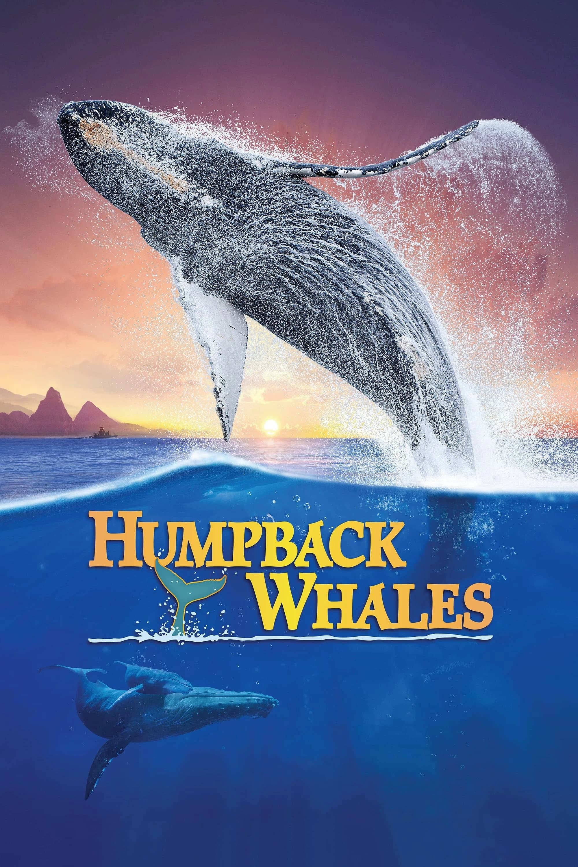 Xem phim Cá Voi Lưng Gù - Humpback Whales