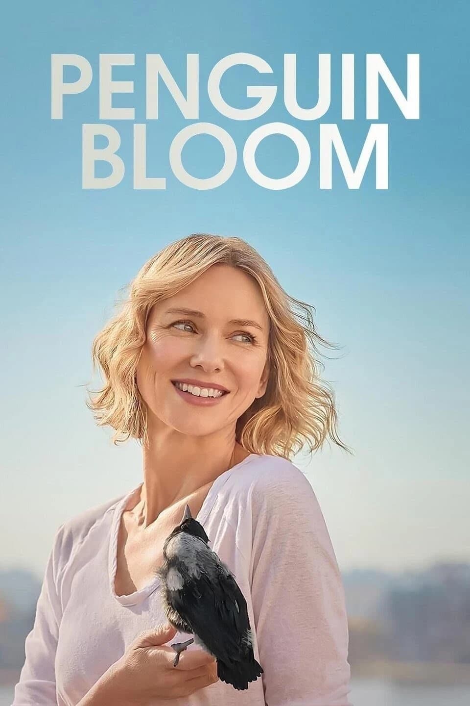 Xem phim Cánh Cụt Nhà Bloom - Penguin Bloom