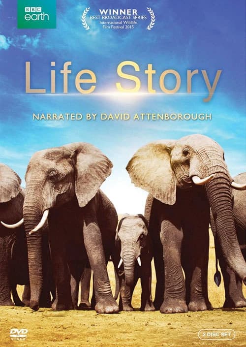 Xem phim Câu Chuyện Cuộc Sống - Life Story