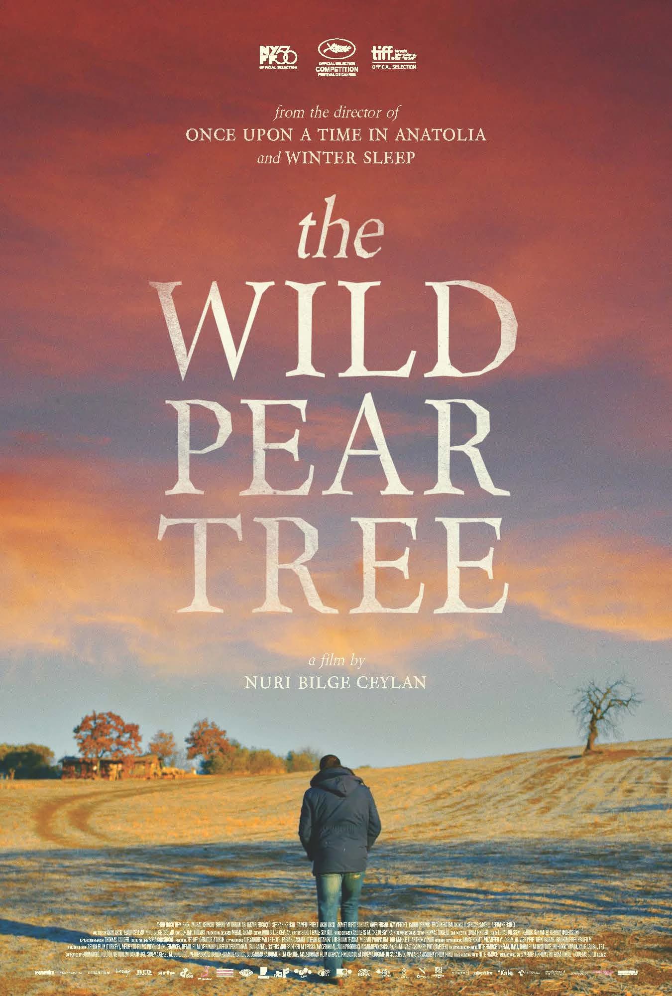 Xem phim Cây Lê Dại - The Wild Pear Tree
