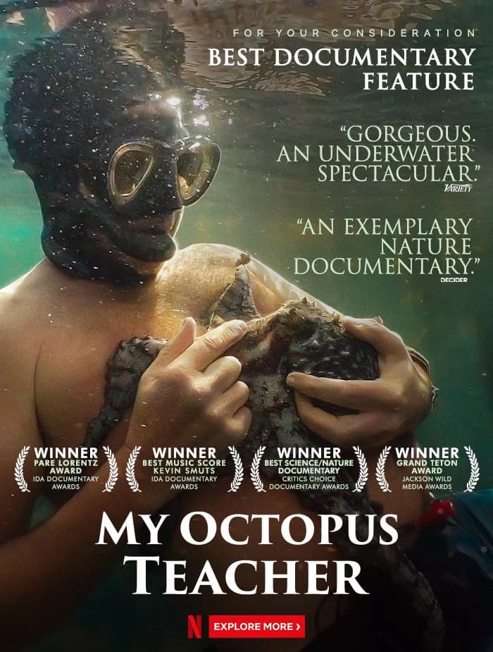 Xem phim Cô Giáo Bạch Tuộc - My Octopus Teacher