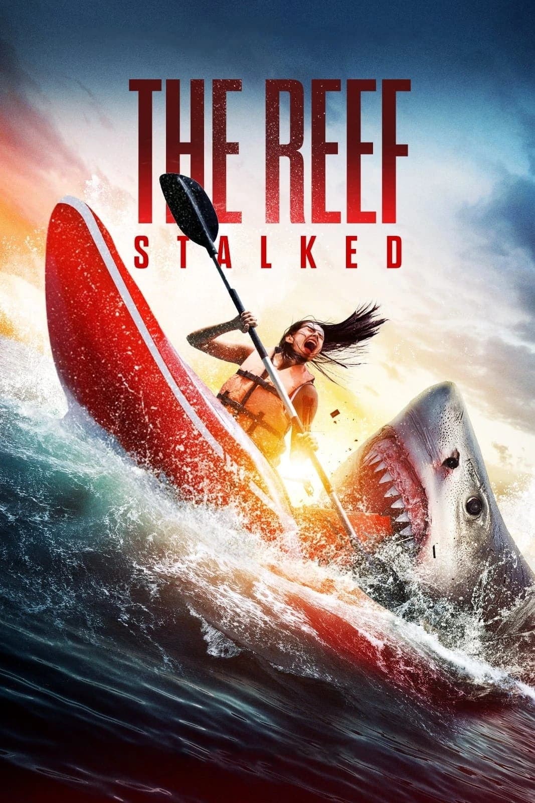 Xem phim Đá Ngầm: Kẻ Theo Dõi - The Reef: Stalked