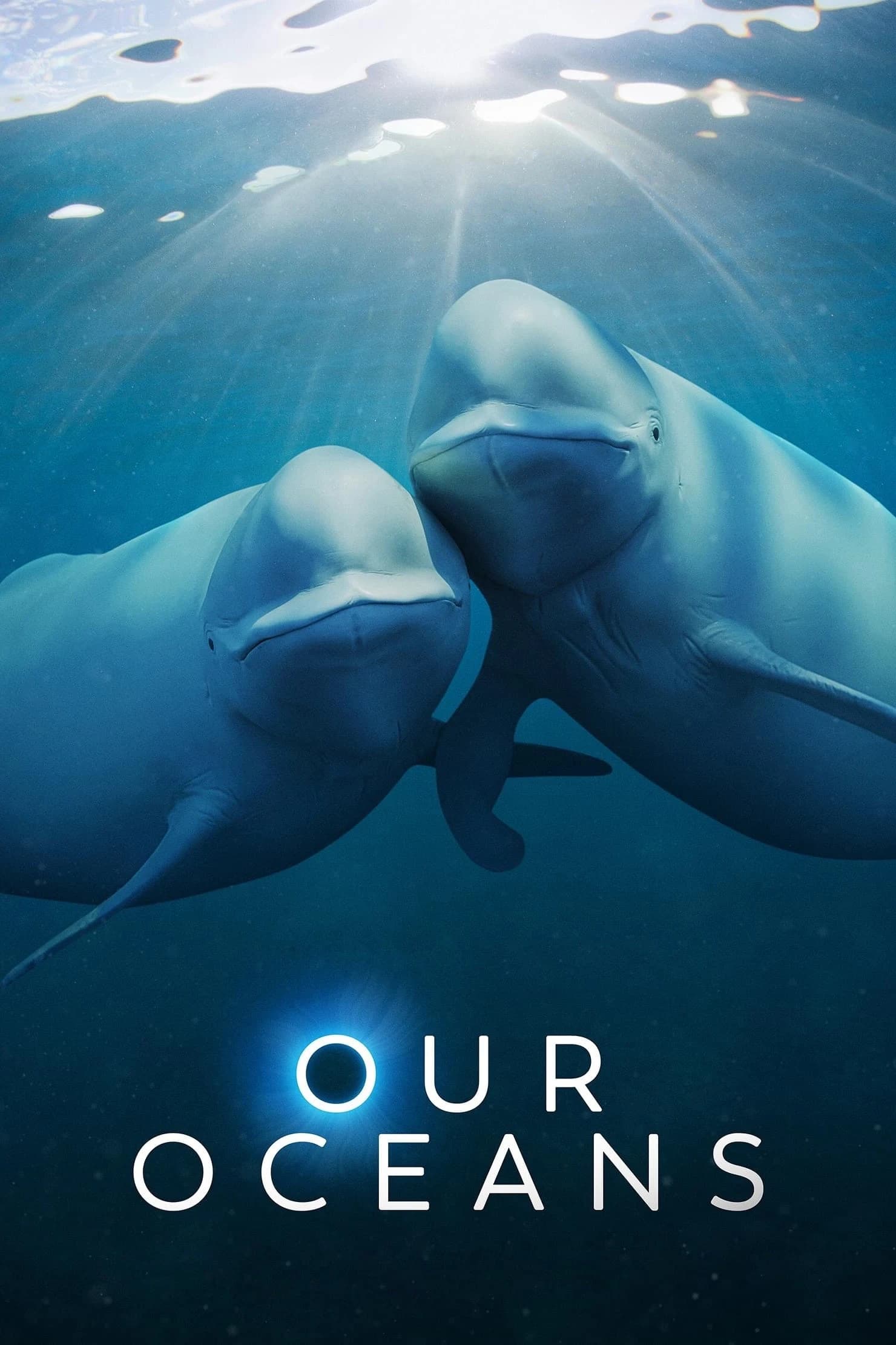 Xem phim Đại dương của chúng ta - Our Oceans