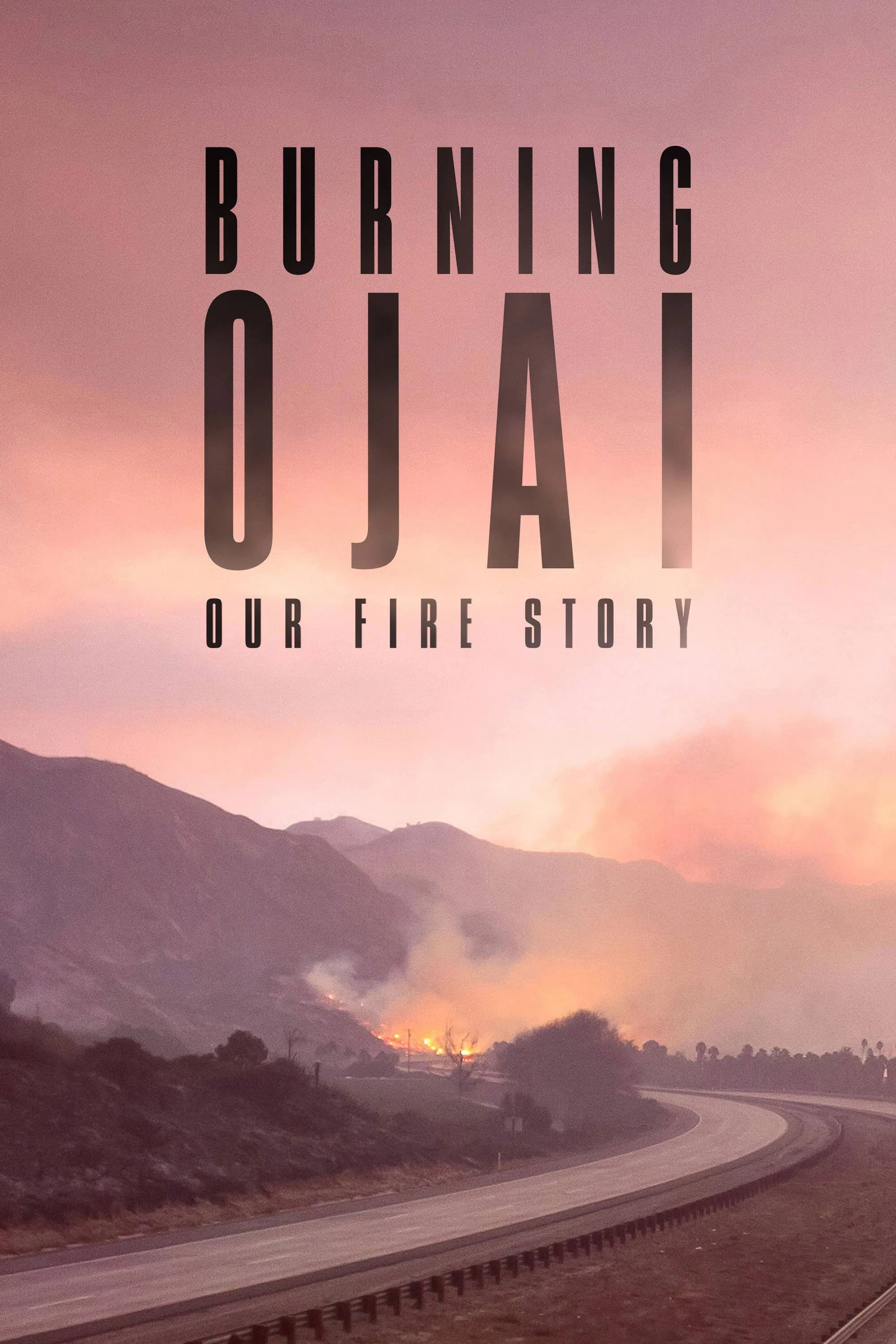 Xem phim Đám Cháy Ở Thung Lũng Ojai - Burning Ojai: Our Fire Story