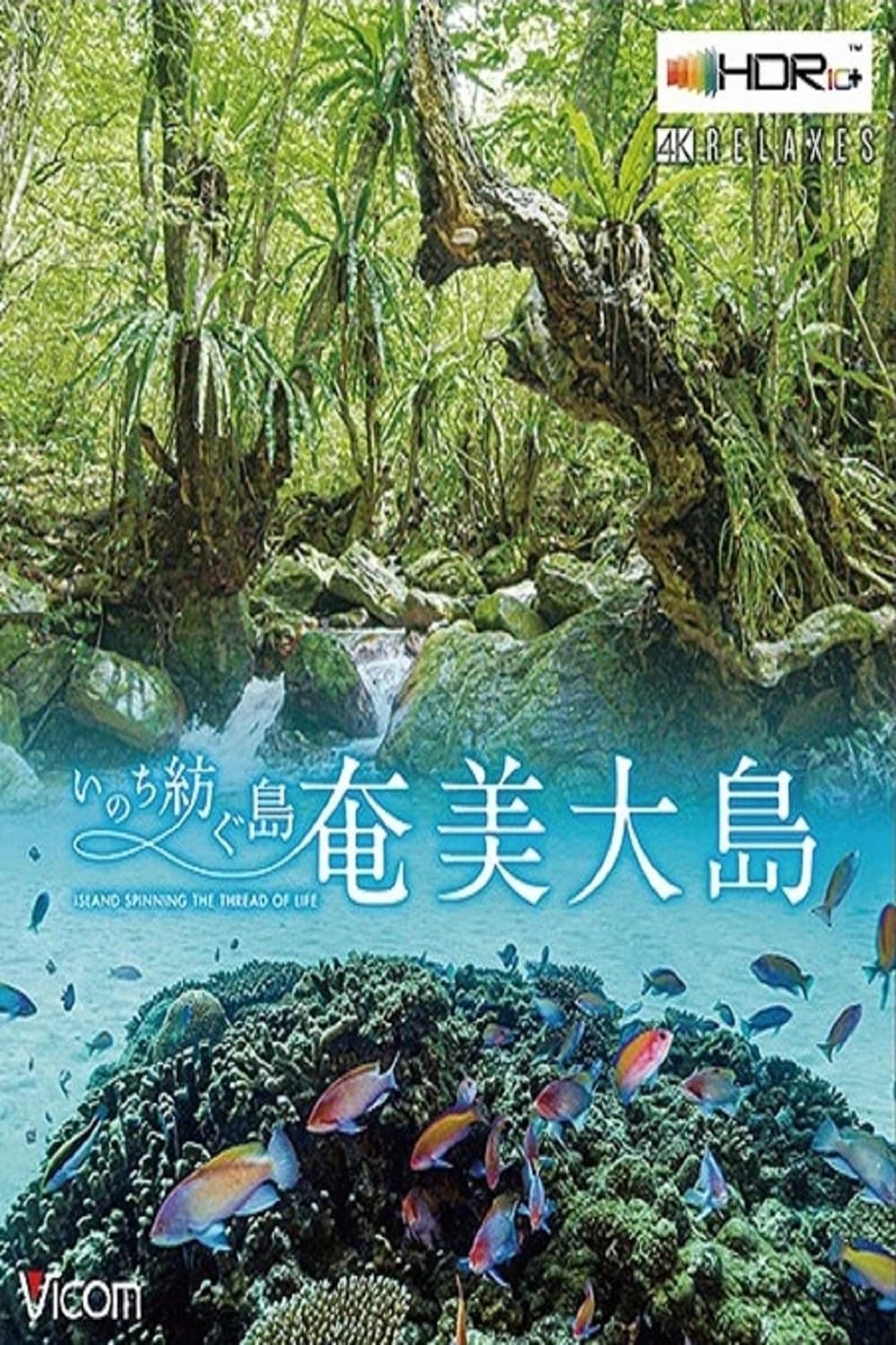 Xem phim Đảo Amami Oshima - Amami Oshima Island
