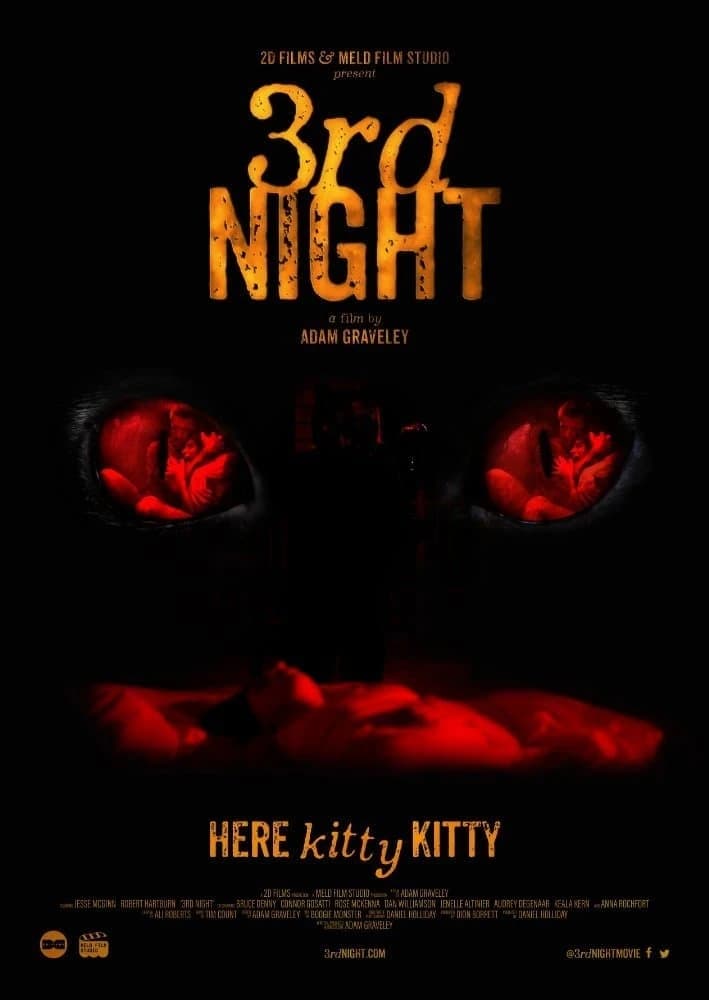 Xem phim Đêm Thứ 3 Kinh Hoàng - 3rd Night