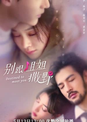 Xem phim Đừng Nhờn Với Chị - Destined To Meet You