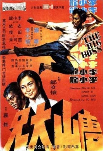 Xem phim Đường Sơn Đại Huynh - The Big Boss