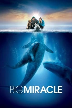 Xem phim Giải Cứu Cá Heo - Big Miracle