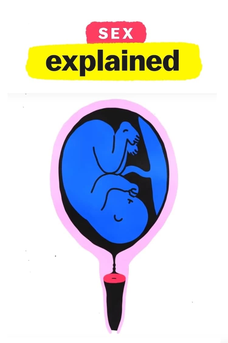 Xem phim Giải Mã Tình Dục - Sex, Explained