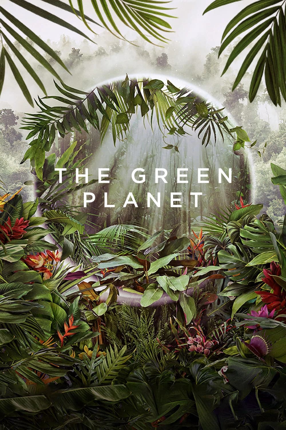 Xem phim Hành Tinh Xanh - The Green Planet