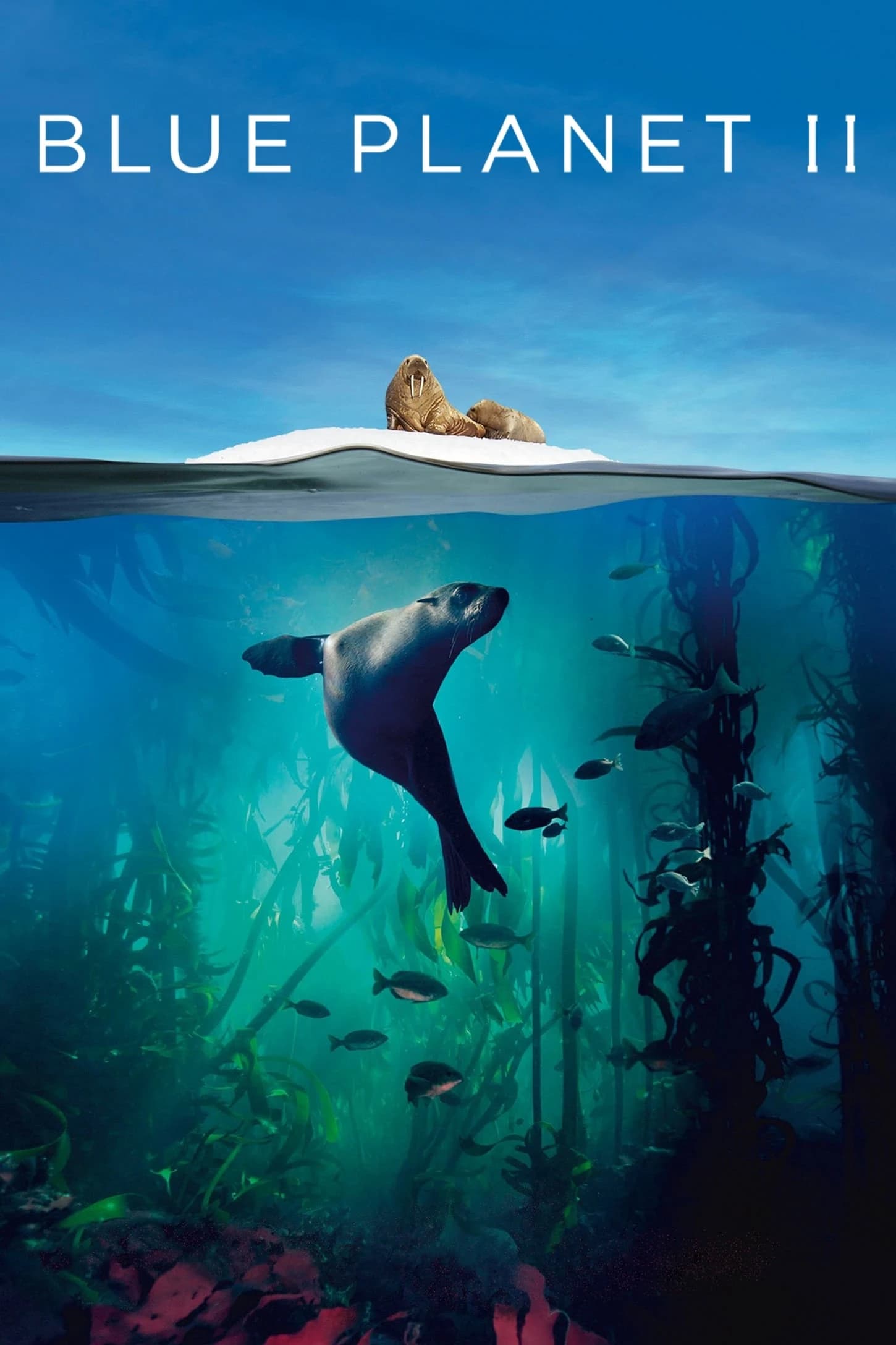 Xem phim Hành Tinh Xanh II - Blue Planet II