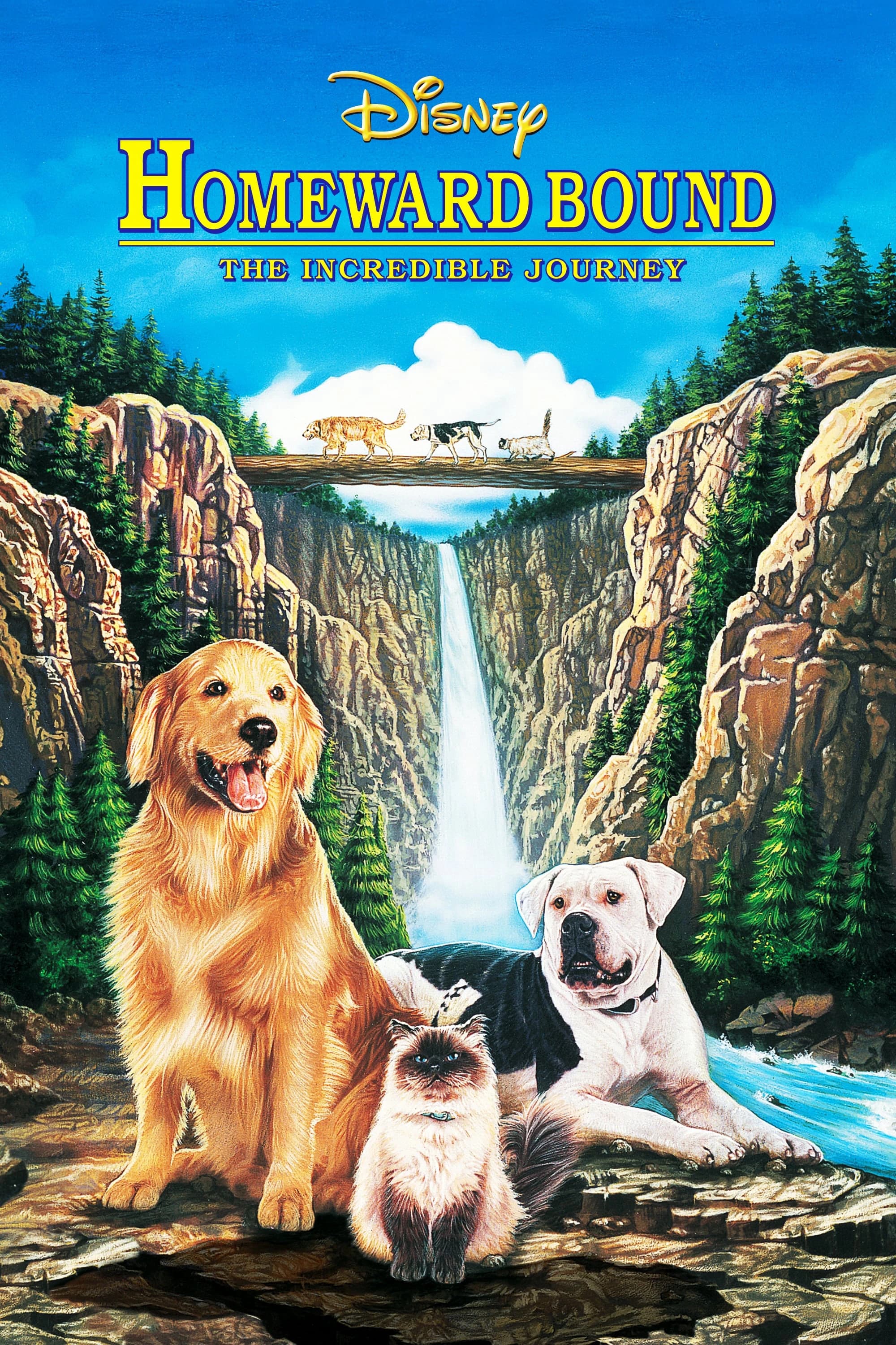 Xem phim Hành Trình Về Nhà - Boonie Bears: Homeward Journey