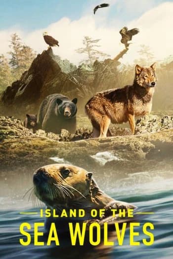 Xem phim Hòn Đảo Của Sói Biển - Island Of The Sea Wolves