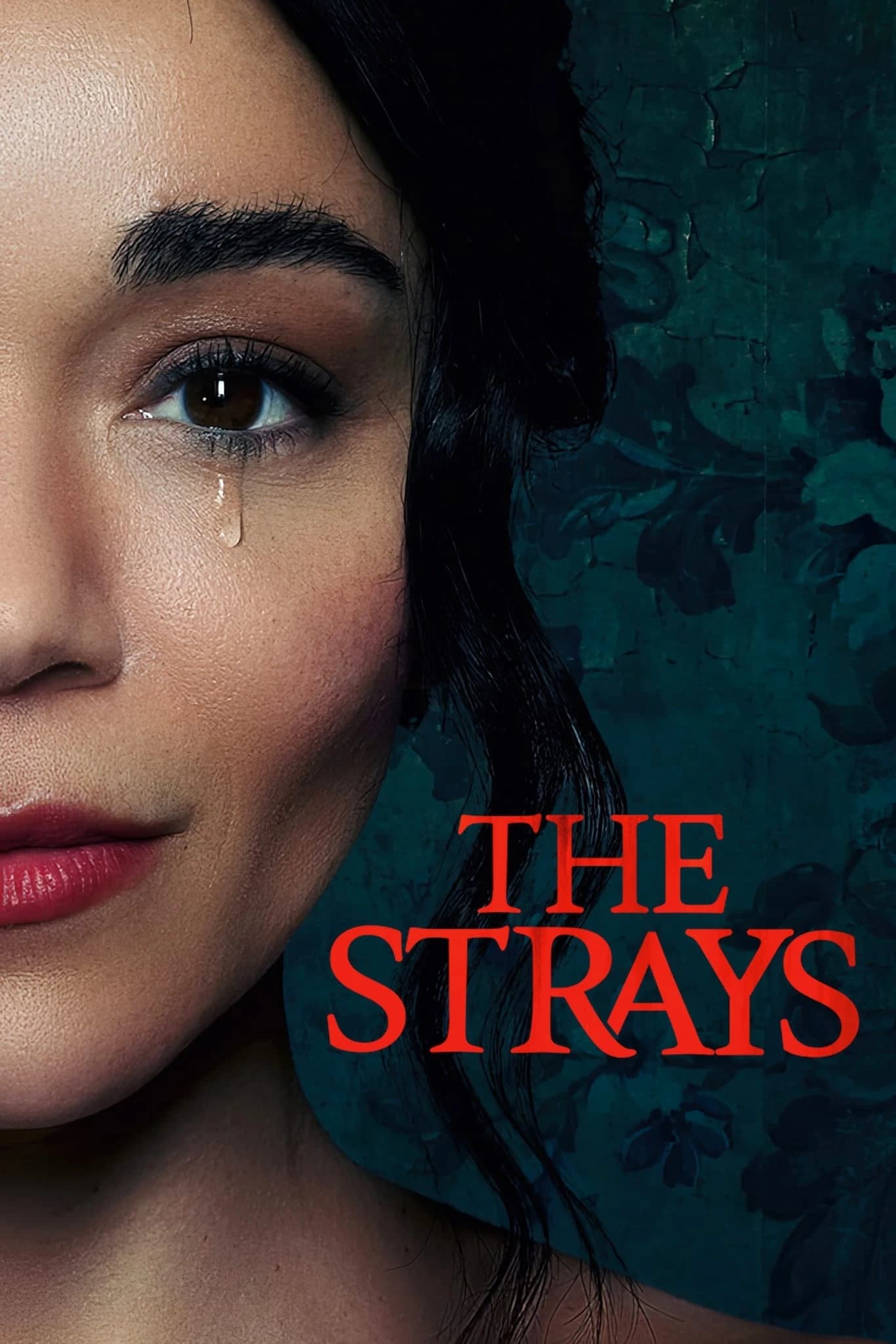 Xem phim Kẻ Lạc Đường - The Strays