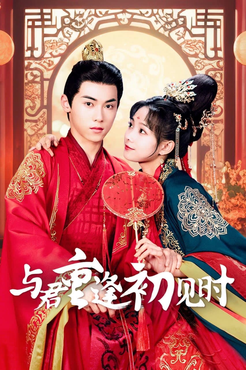 Xem phim Khi Ta Gặp Nhau Lần Đầu Tiên - Reunion As First Sight