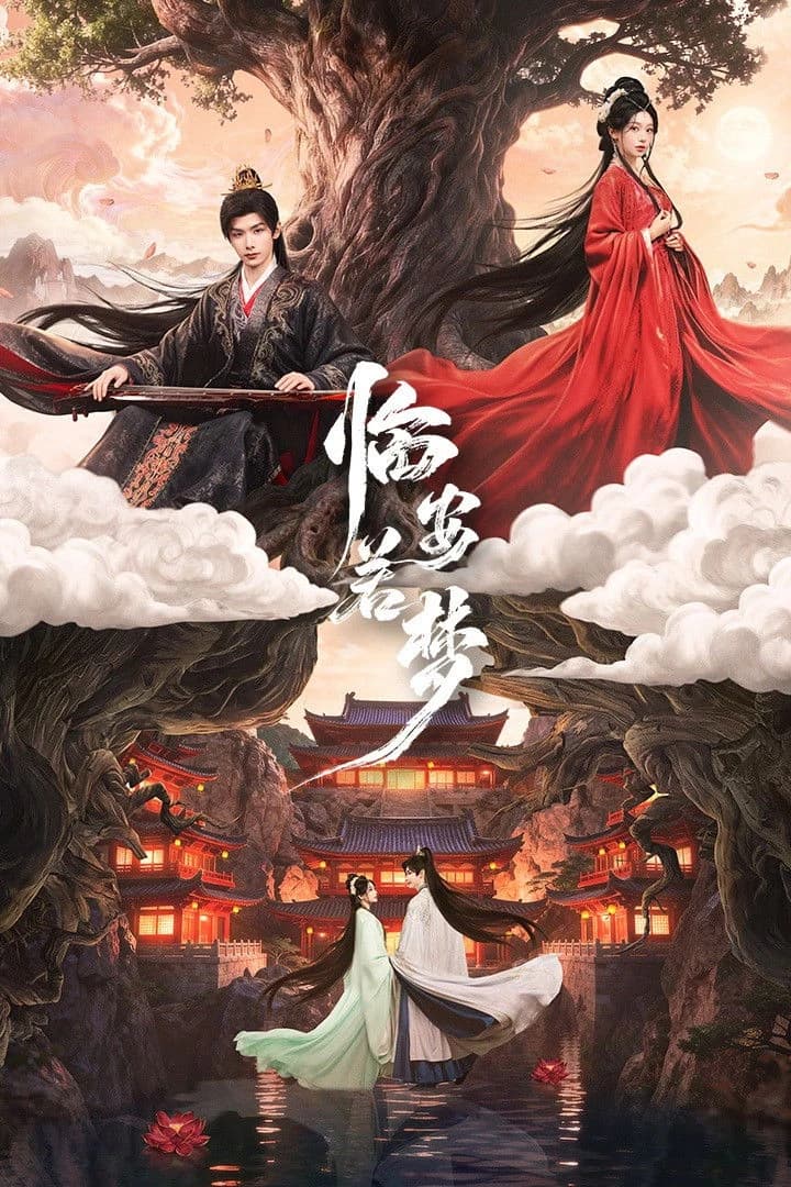 Xem phim Lâm An Nhược Mộng - Reincarnated Love