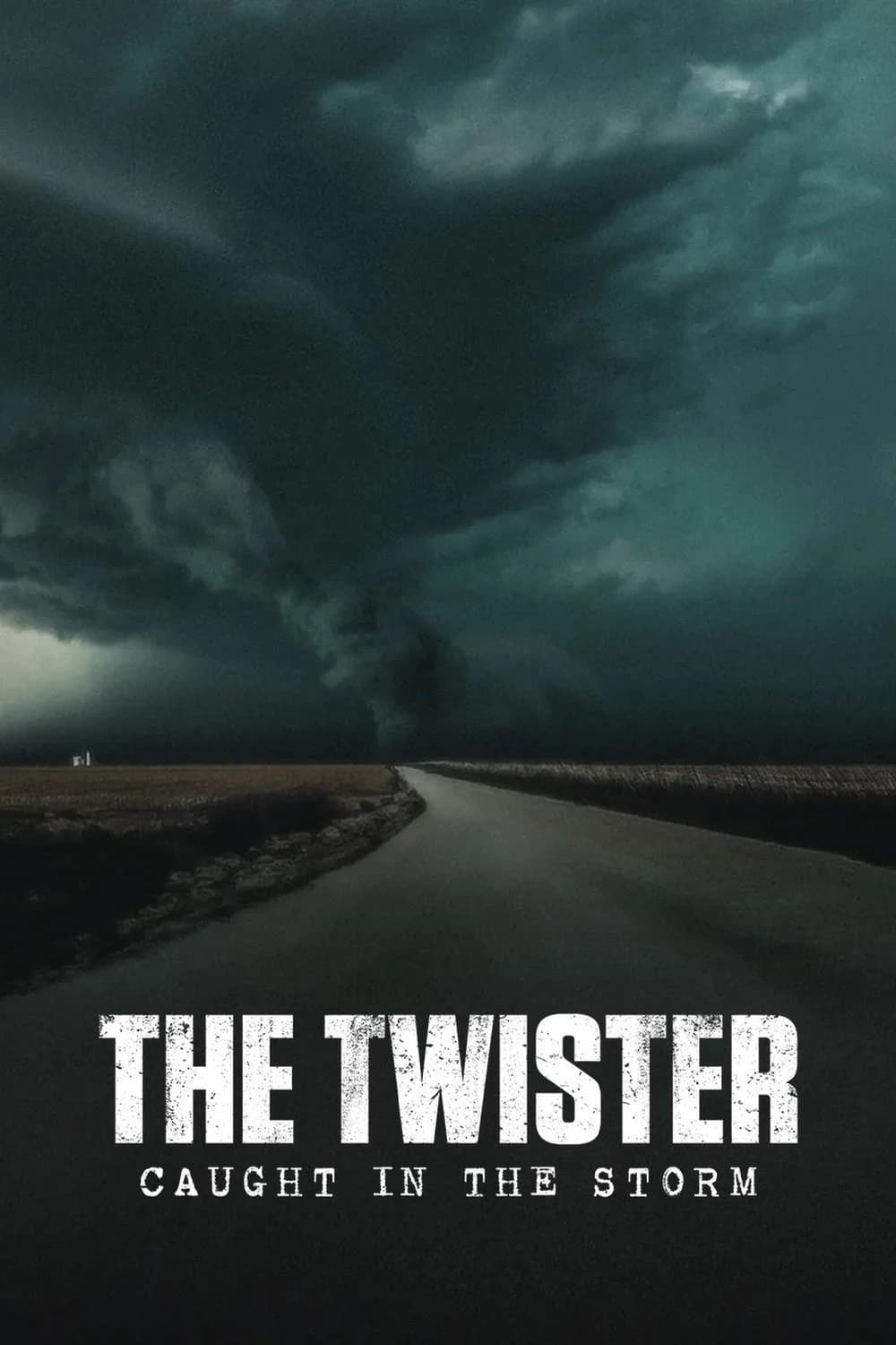 Xem phim Lốc Xoáy: Kẹt Trong Tâm Bão - The Twister: Caught In The Storm