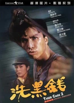 Xem phim Lồng Hổ 2 - Tiger Cage II