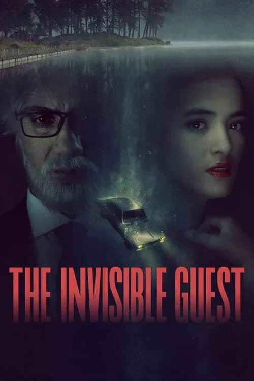Xem phim Man Thiên Quá Hải - The Invisible Guest