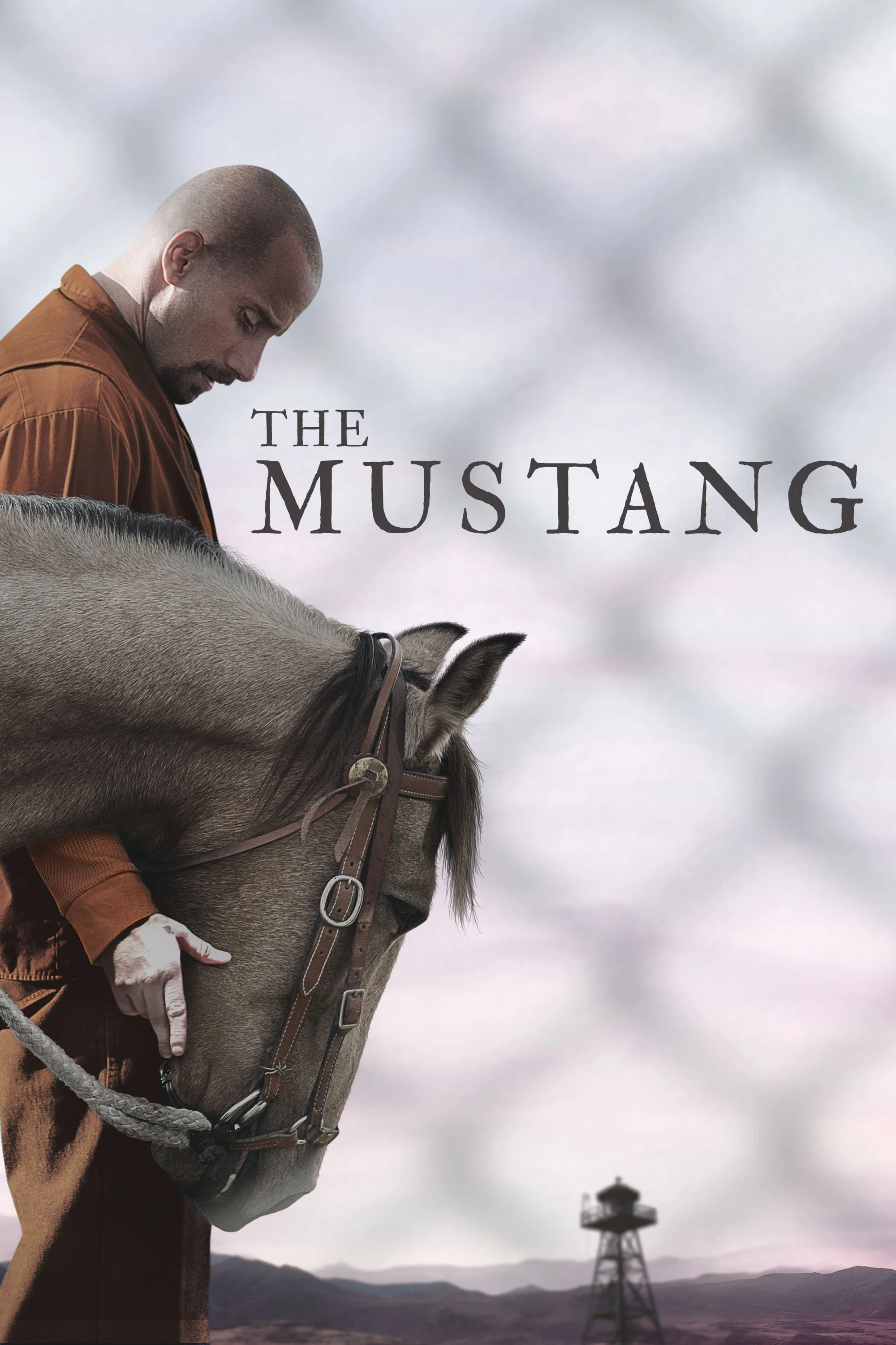 Xem phim Mustang: Thuần hóa - The Mustang