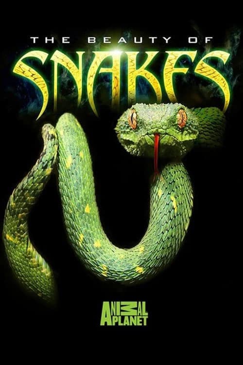 Xem phim Nét Đẹp Của Loài Rắn - The Beauty Of Snakes