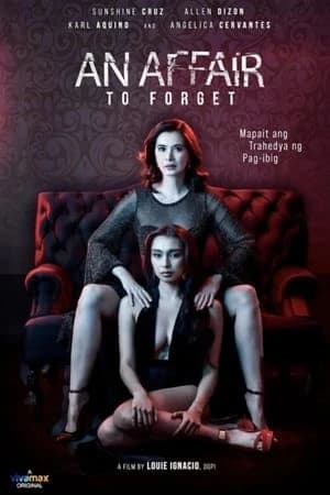 Xem phim Quên Một Cuộc Tình - An Affair to Forget