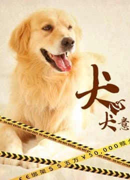 Xem phim Quyết Tâm Của Chó - A Dog's Life
