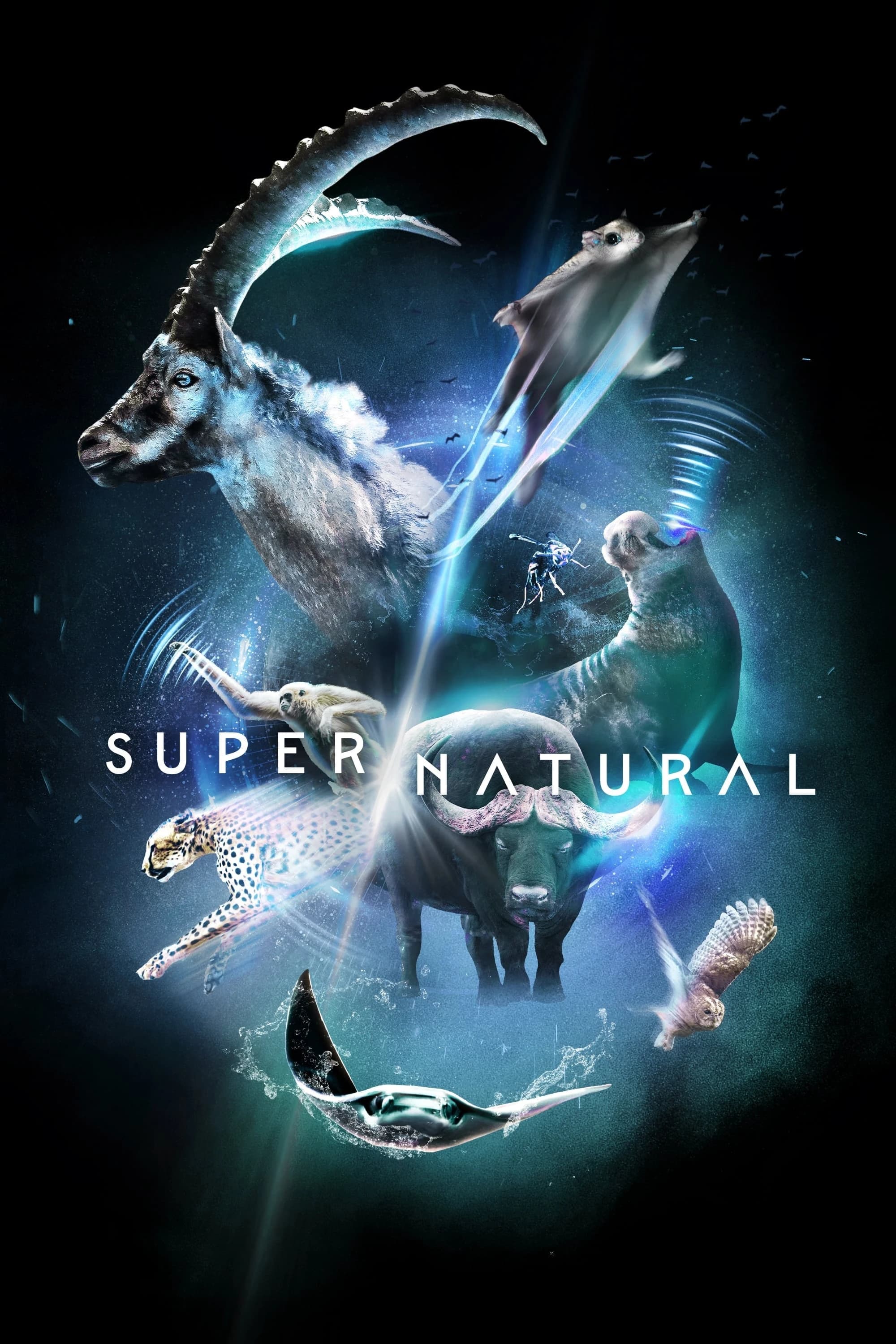 Xem phim Siêu Tự Nhiên - Super/Natural