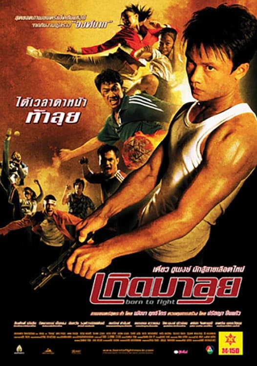 Xem phim Sinh Ra Để Chiến Đấu - Born to Fight