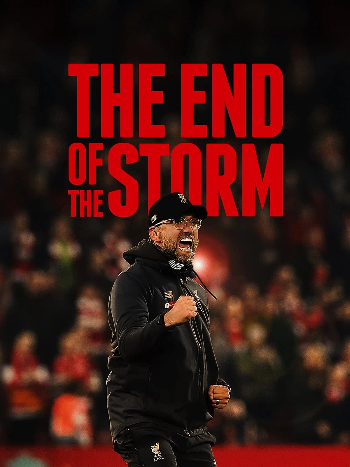 Xem phim The End of the Storm - The End of the Storm