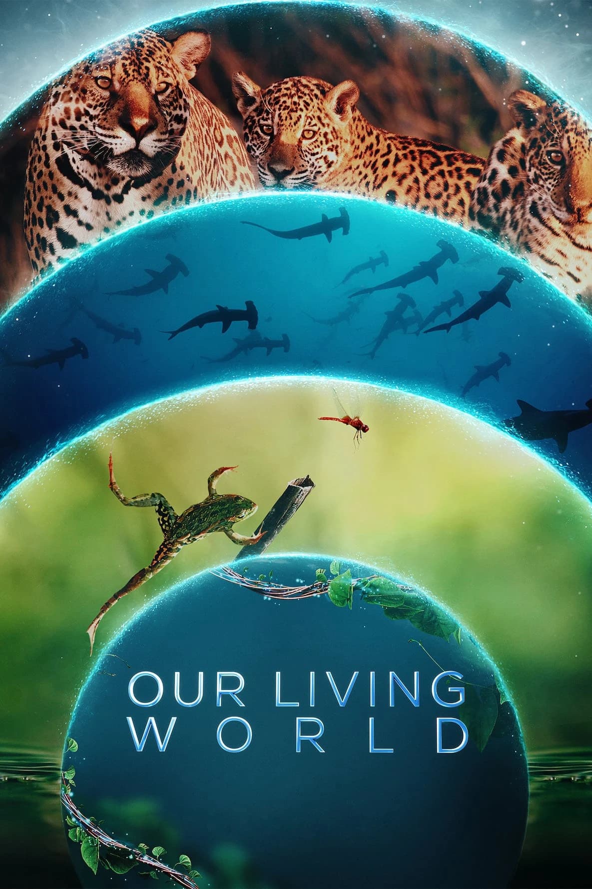 Xem phim Thế Giới Sống Của Chúng Ta - Our Living World