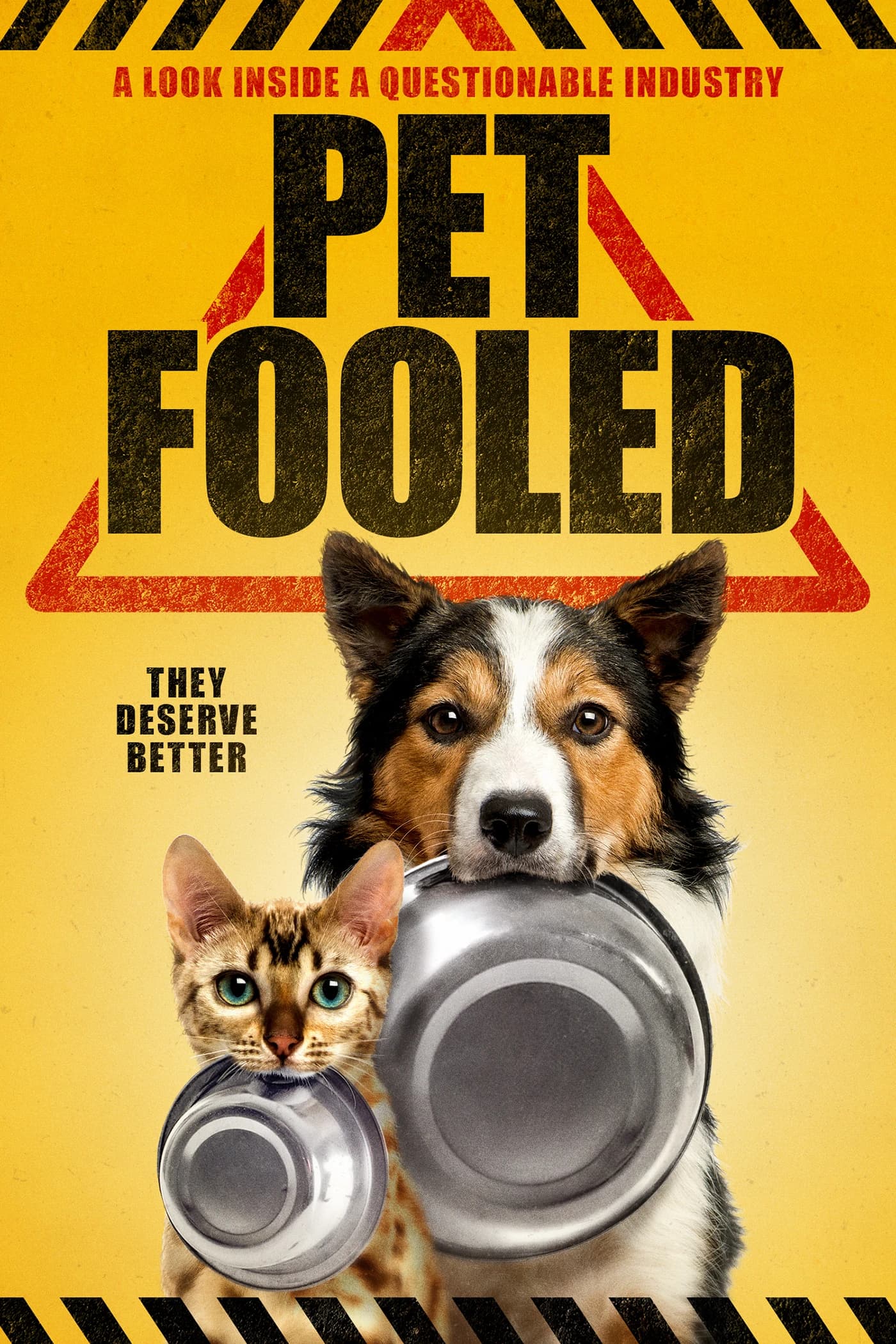Xem phim Thú Cưng Đang Ăn Gì? - Pet Fooled