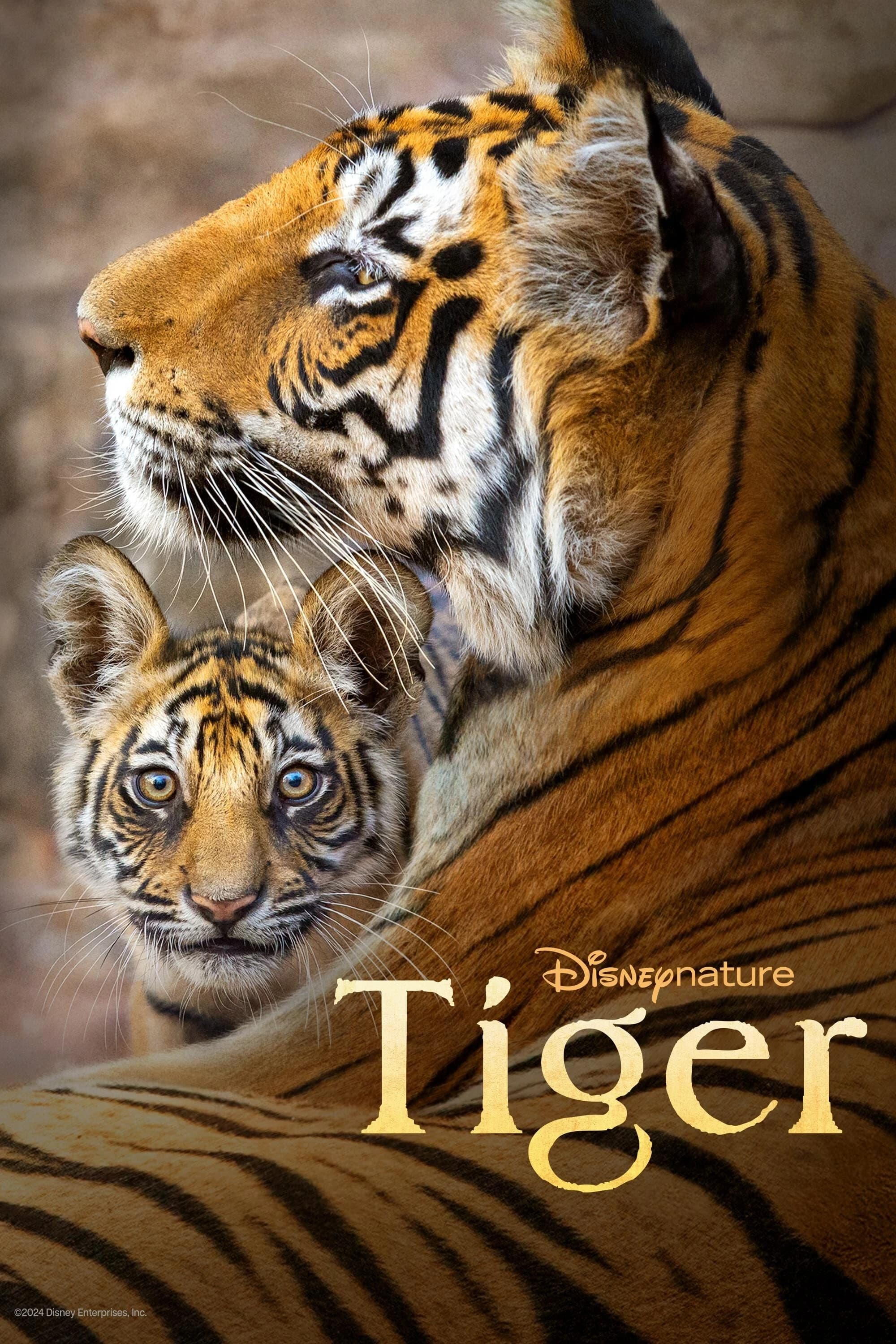 Xem phim Tiger - Tiger
