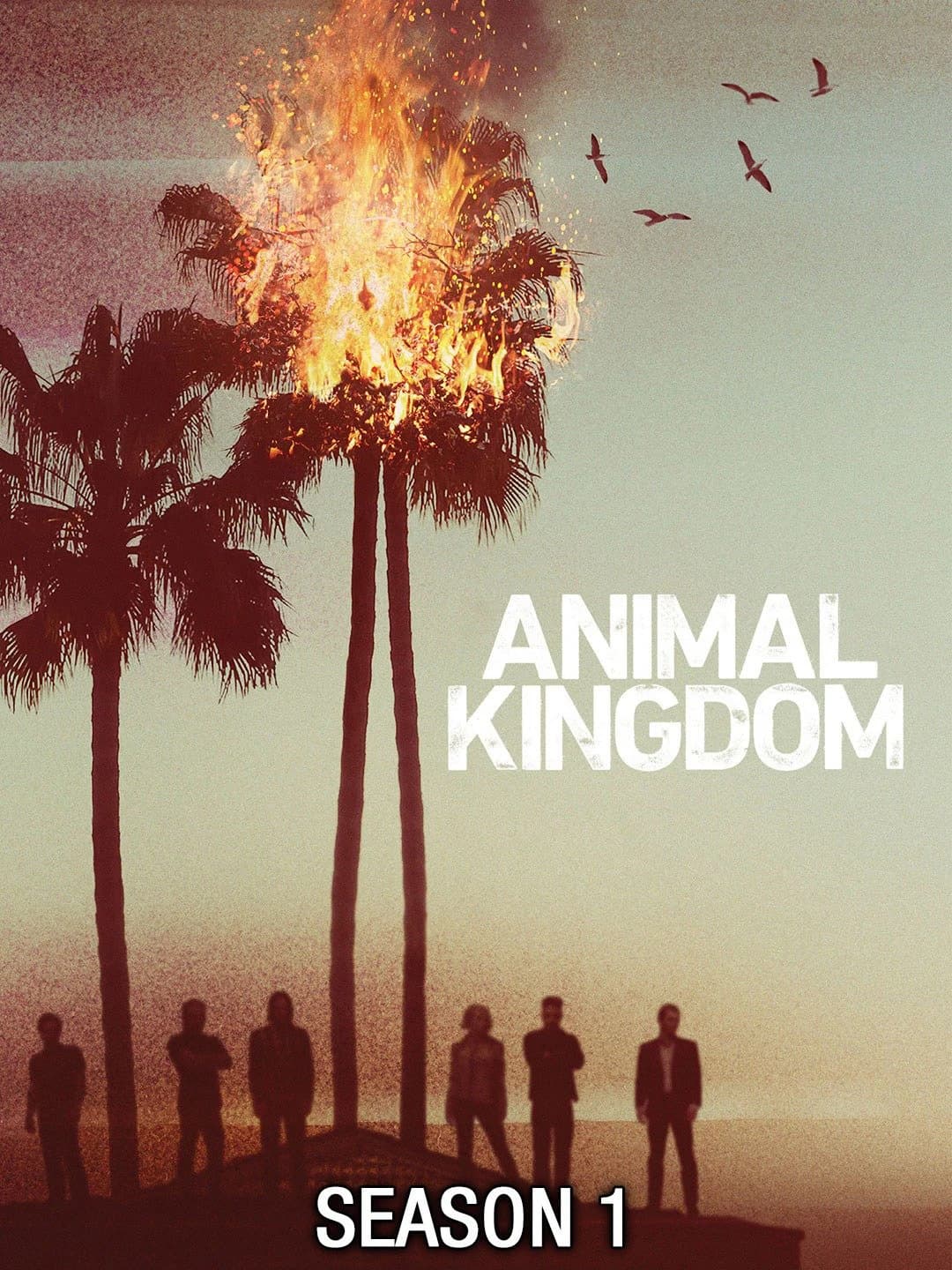 Xem phim Vương Quốc Động Vật (Phần 1) - Animal Kingdom (Season 1)