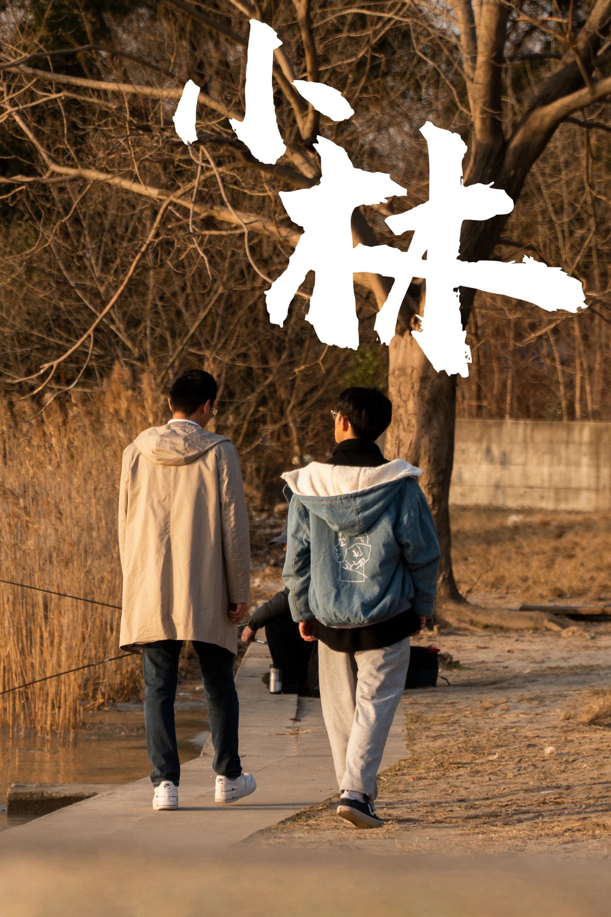 Xem phim Xiao Lin - Xiao Lin