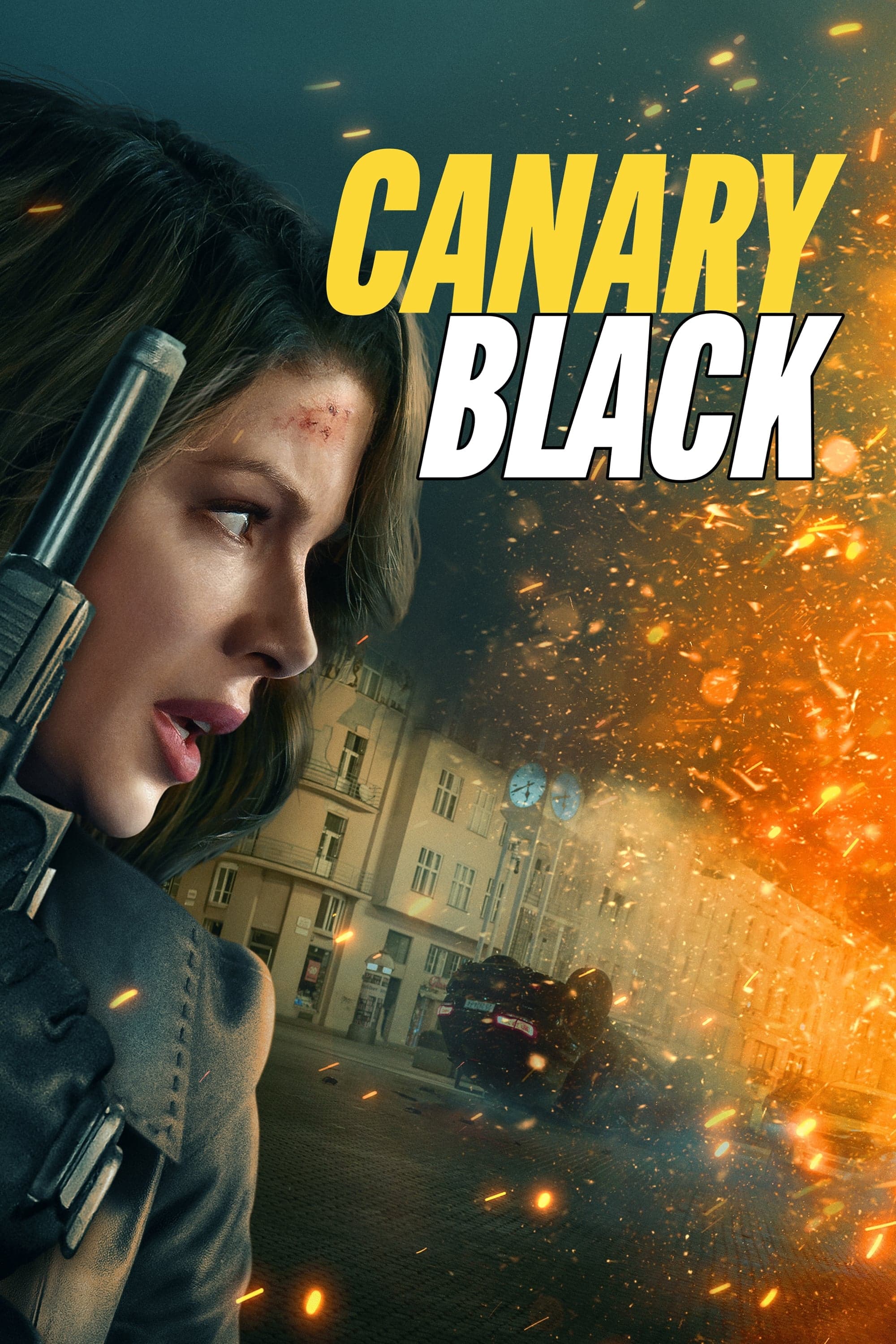 Xem phim Mật Danh Chim Hoàng Yến - Canary Black